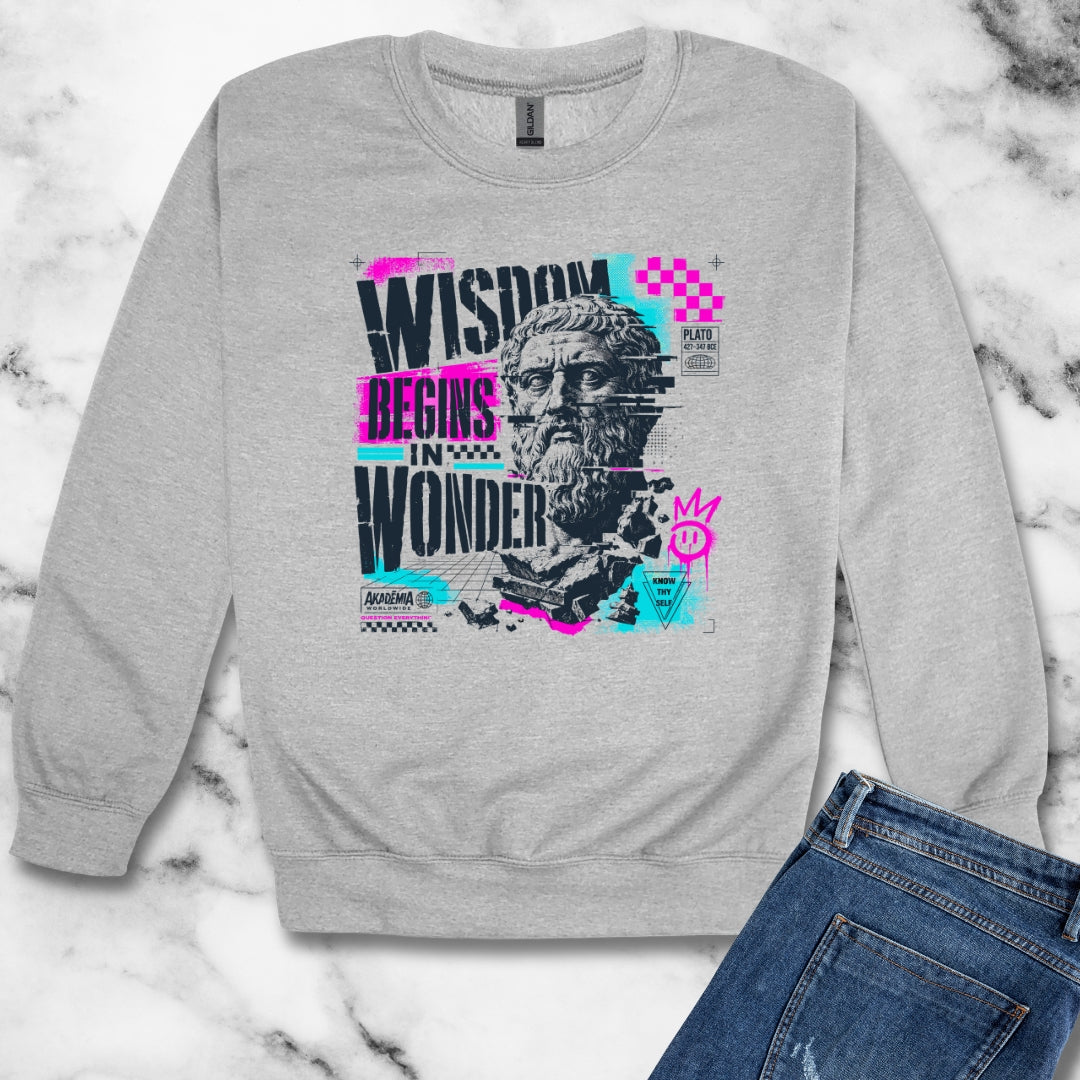 Plato Wisdom Begins in Wonder Unisex Heavy Crewneck Sweatshirt