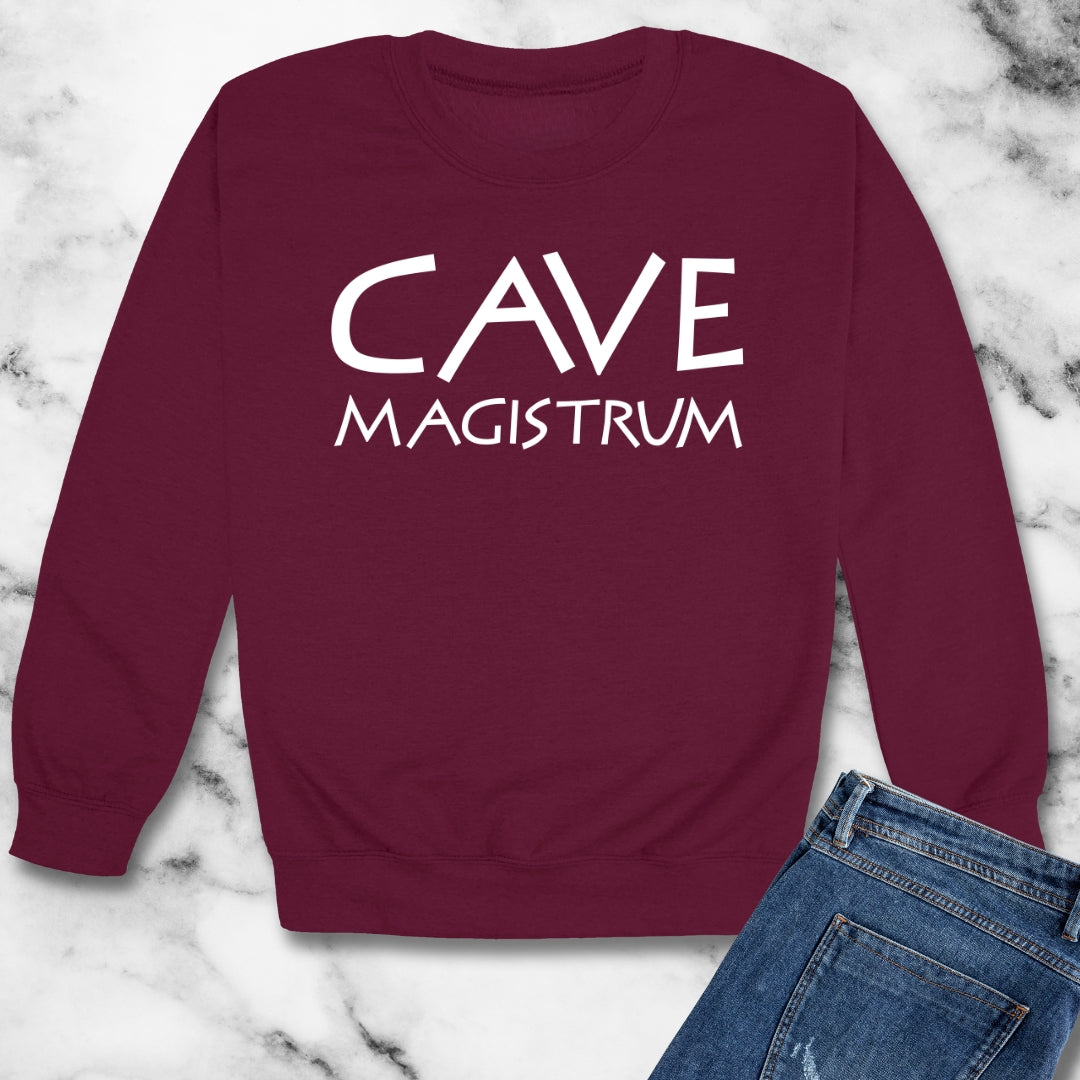 Cave Magistrum Beware Teacher Unisex Heavy Crewneck Sweatshirt
