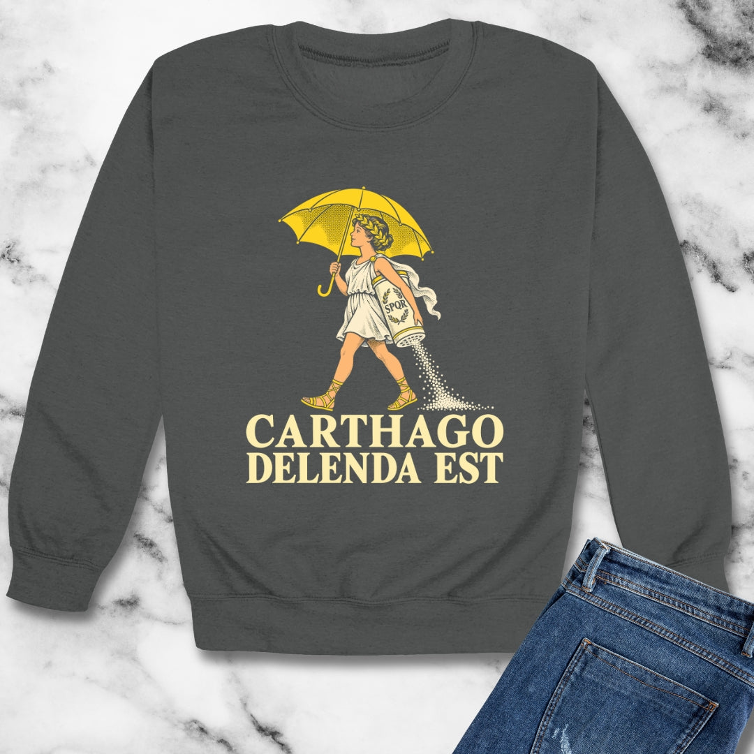 Carthago Delenda Est Salt Girl Lithograph Unisex Heavy Crewneck Sweatshirt