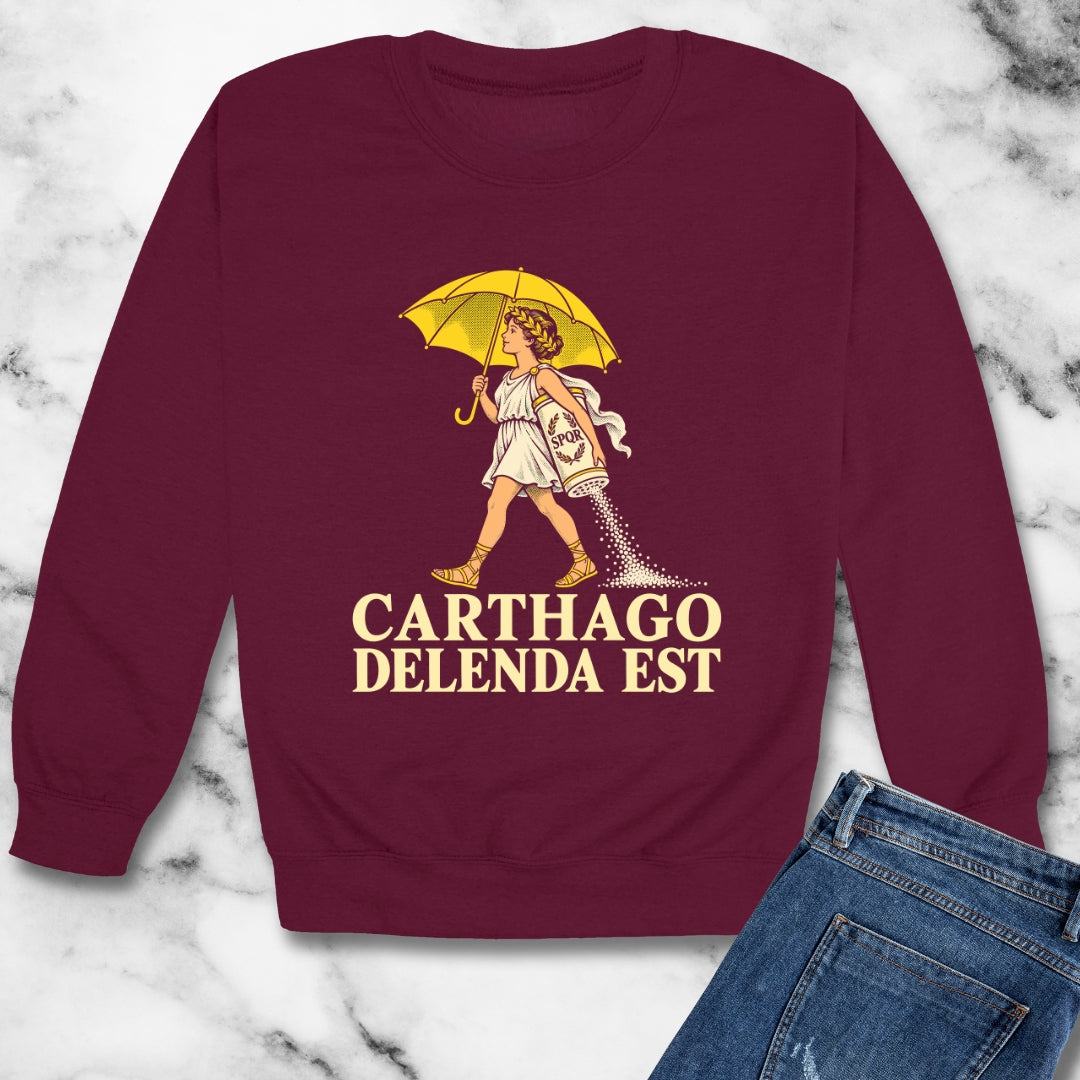 Carthago Delenda Est Salt Girl Lithograph Unisex Heavy Crewneck Sweatshirt