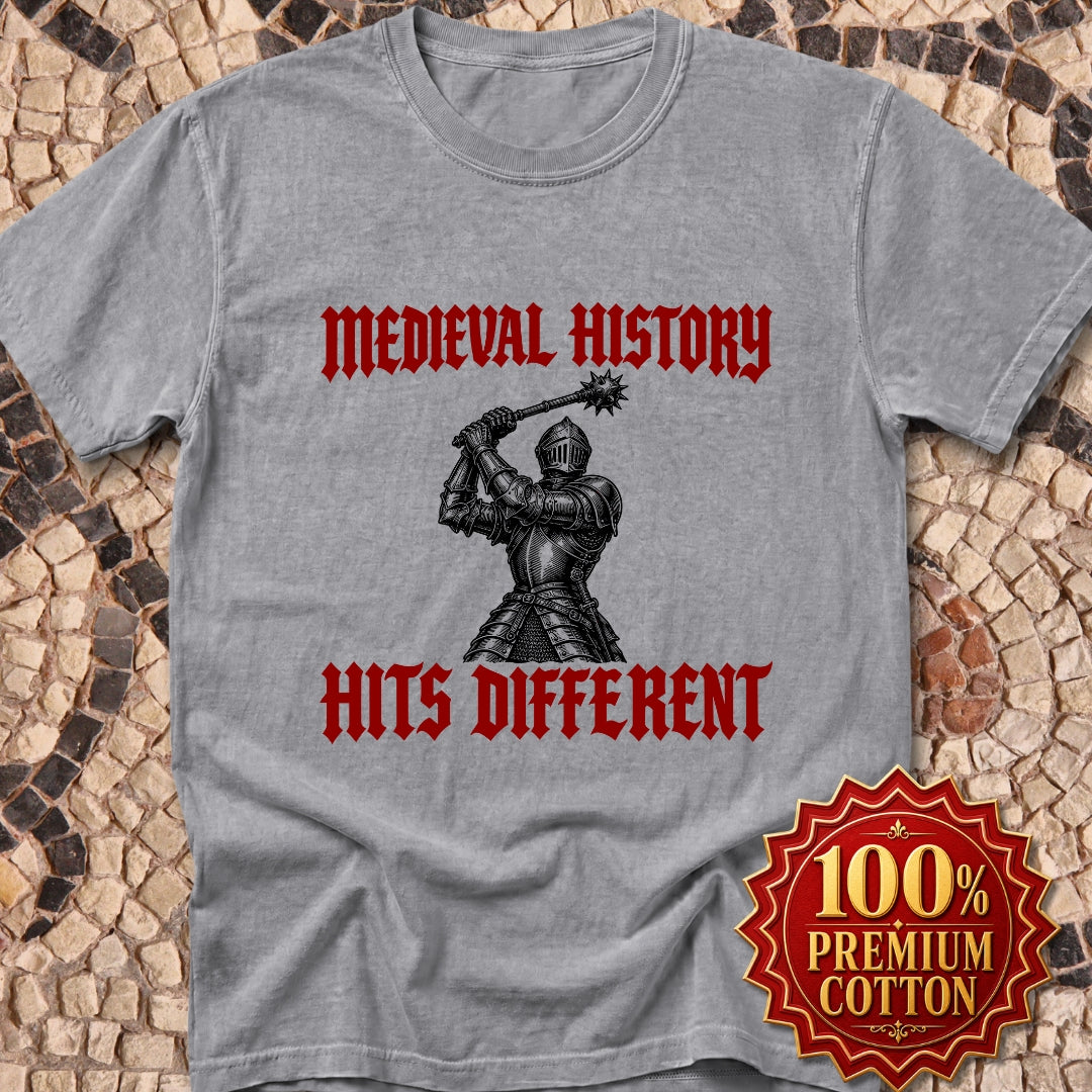 Medieval History Hits Different Knight Premium Tee