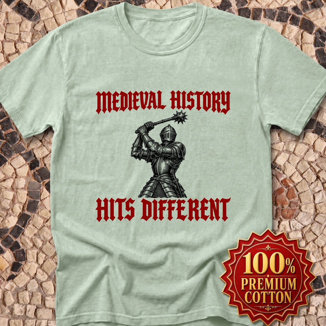 Medieval History Hits Different Knight Premium Tee