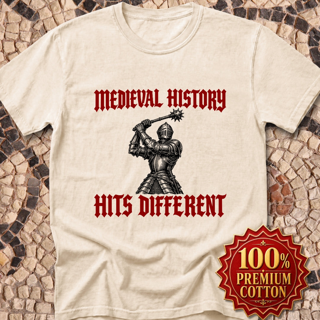Medieval History Hits Different Knight Premium Tee