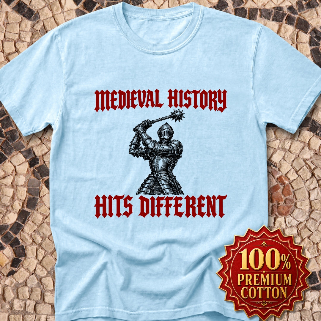 Medieval History Hits Different Knight Premium Tee