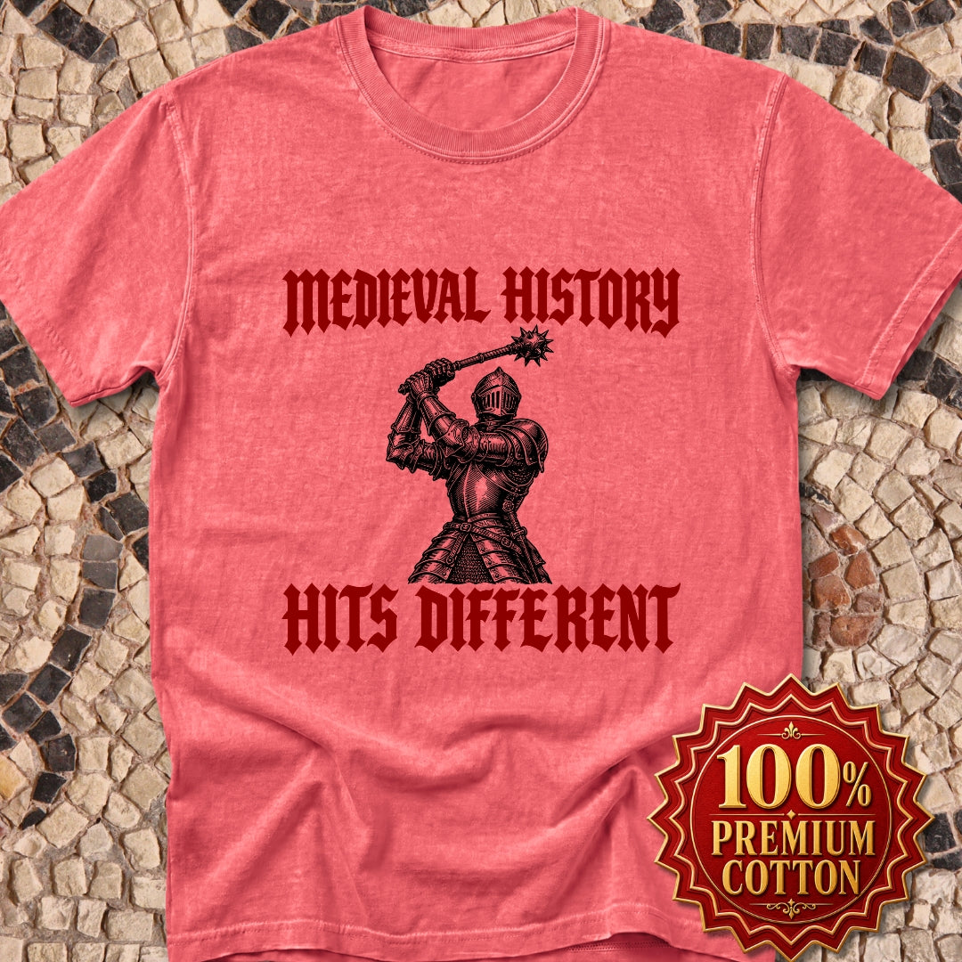 Medieval History Hits Different Knight Premium Tee