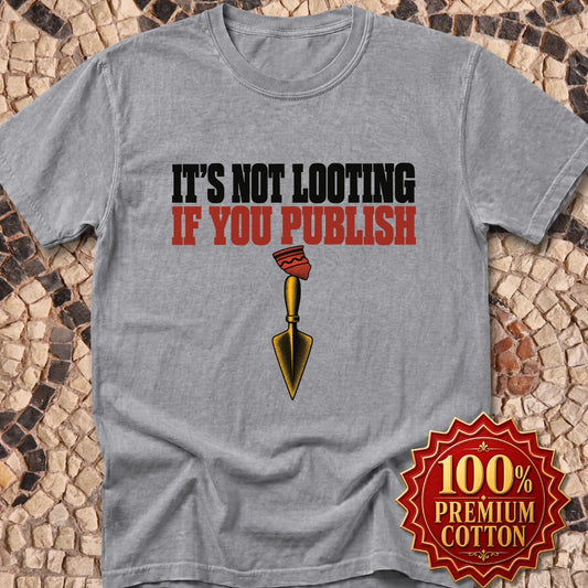 It's Not Looting If You Publish Premium Tee