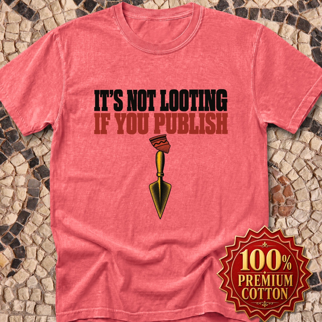 It's Not Looting If You Publish Premium Tee