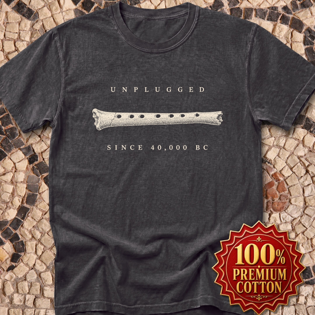 Unplugged Since 40,000 BC Hohle Fels Flute Premium Tee