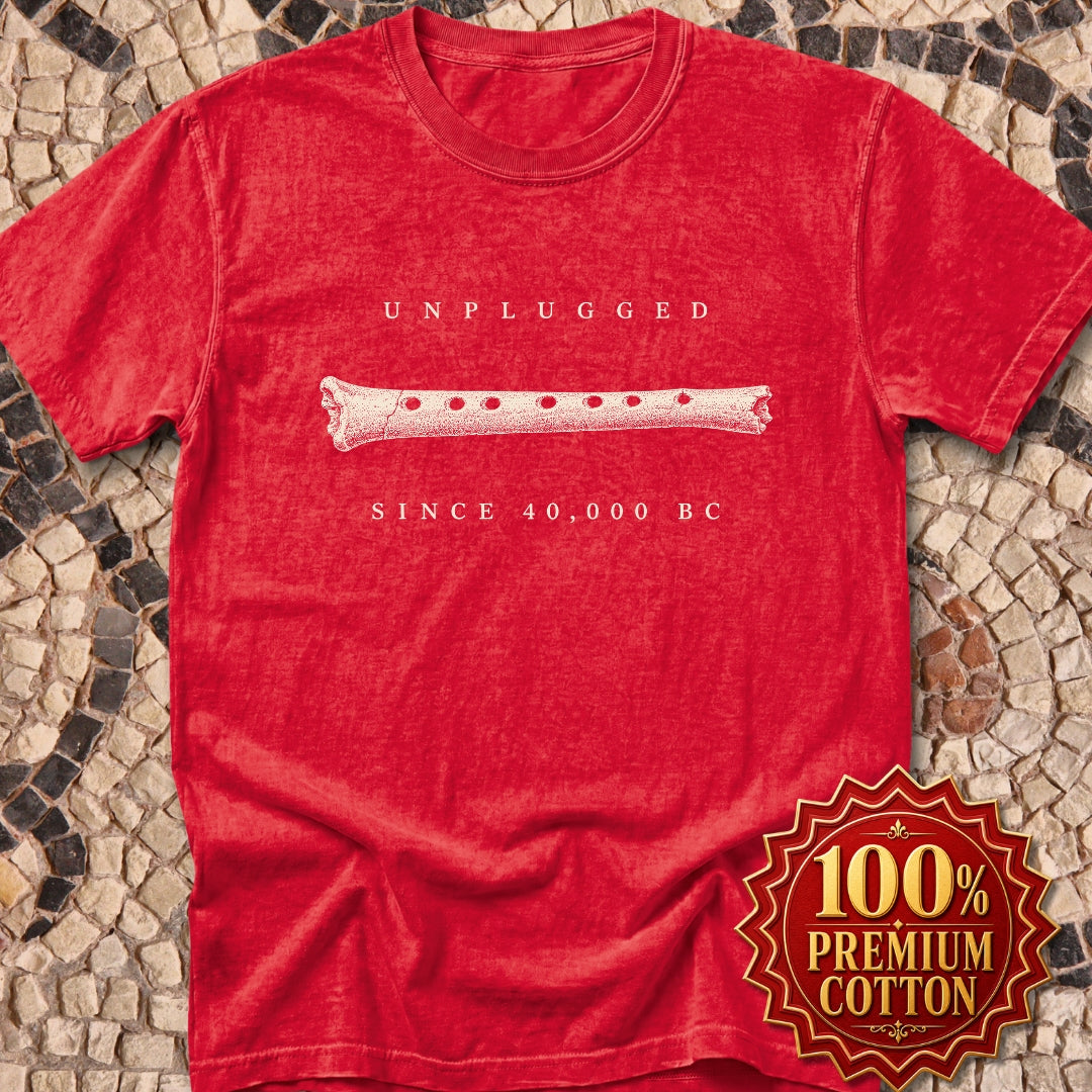 Unplugged Since 40,000 BC Hohle Fels Flute Premium Tee