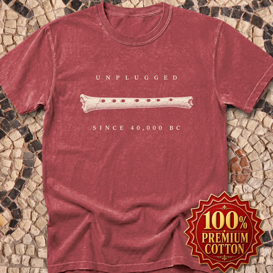 Unplugged Since 40,000 BC Hohle Fels Flute Premium Tee