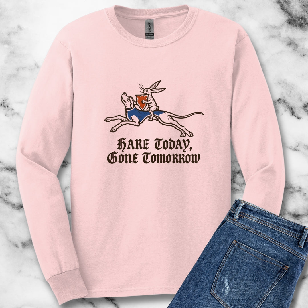 Hare Today, Gone Tomorrow Unisex Long Sleeve Tee