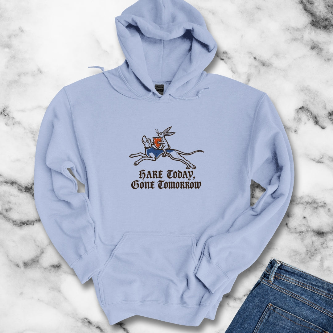 Hare Today, Gone Tomorrow Hoodie