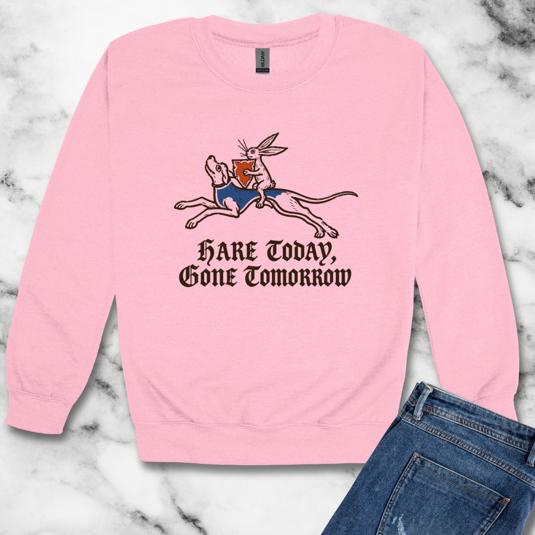 Hare Today, Gone Tomorrow Unisex Heavy Crewneck Sweatshirt