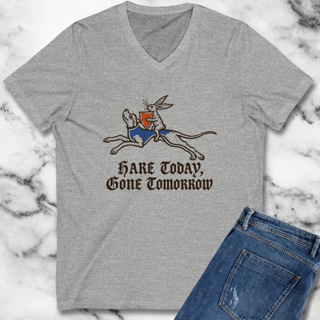 Hare Today, Gone Tomorrow V-neck