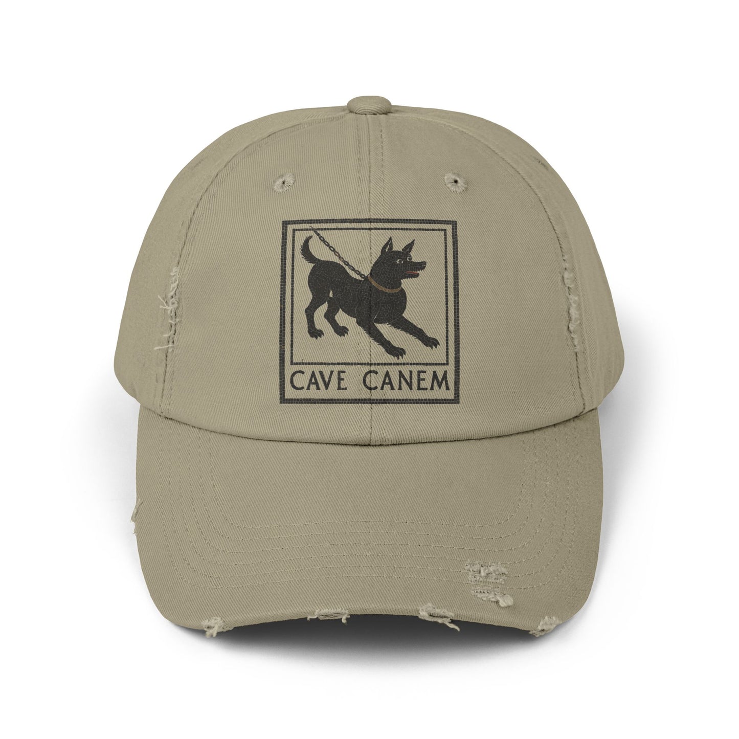 Cave Canum Unisex Distressed Cap