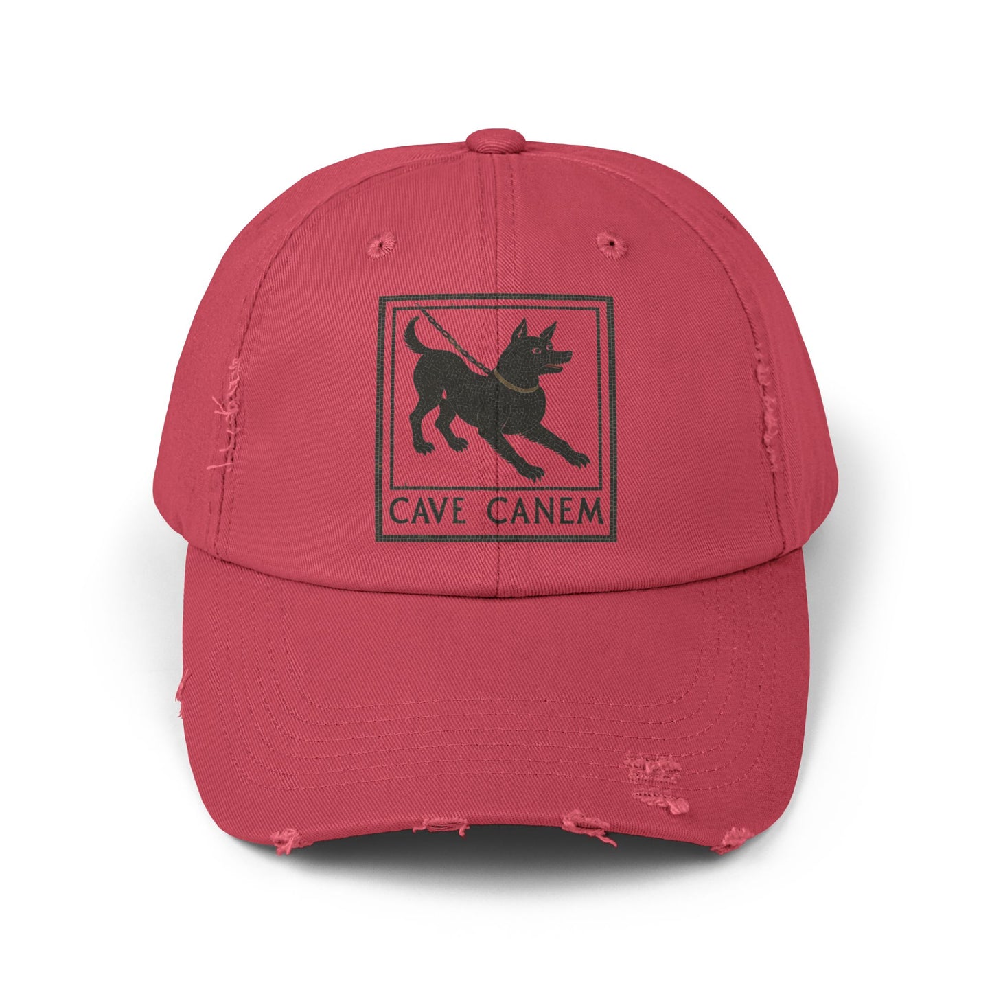 Cave Canum Unisex Distressed Cap