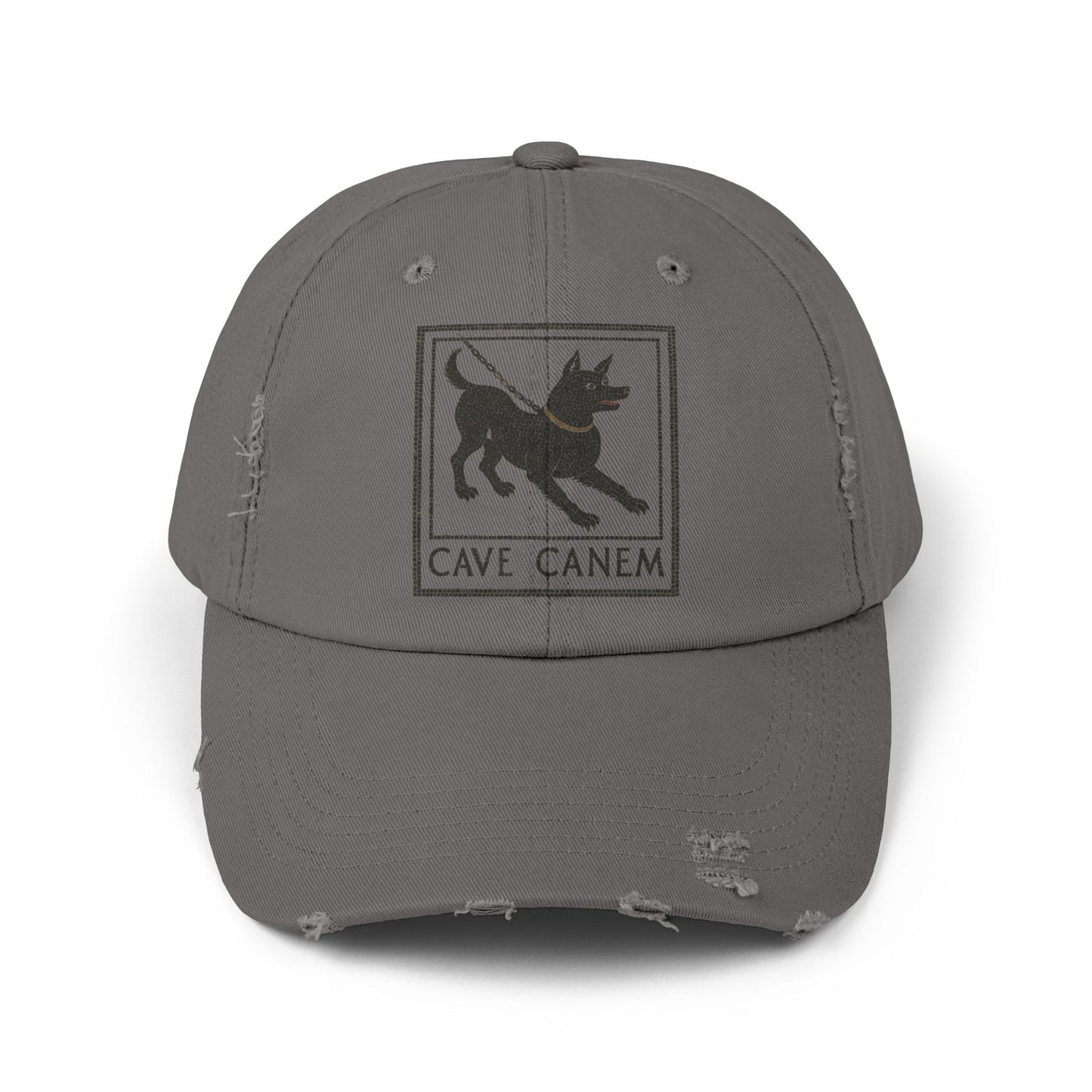 Cave Canum Unisex Distressed Cap