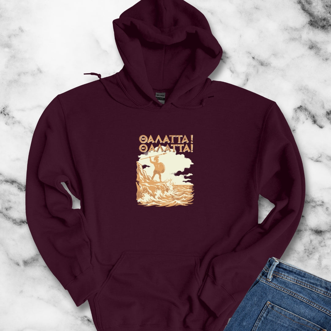 Pillagin' Ain't Easy Viking Raiding Hoodie Sweatshirt