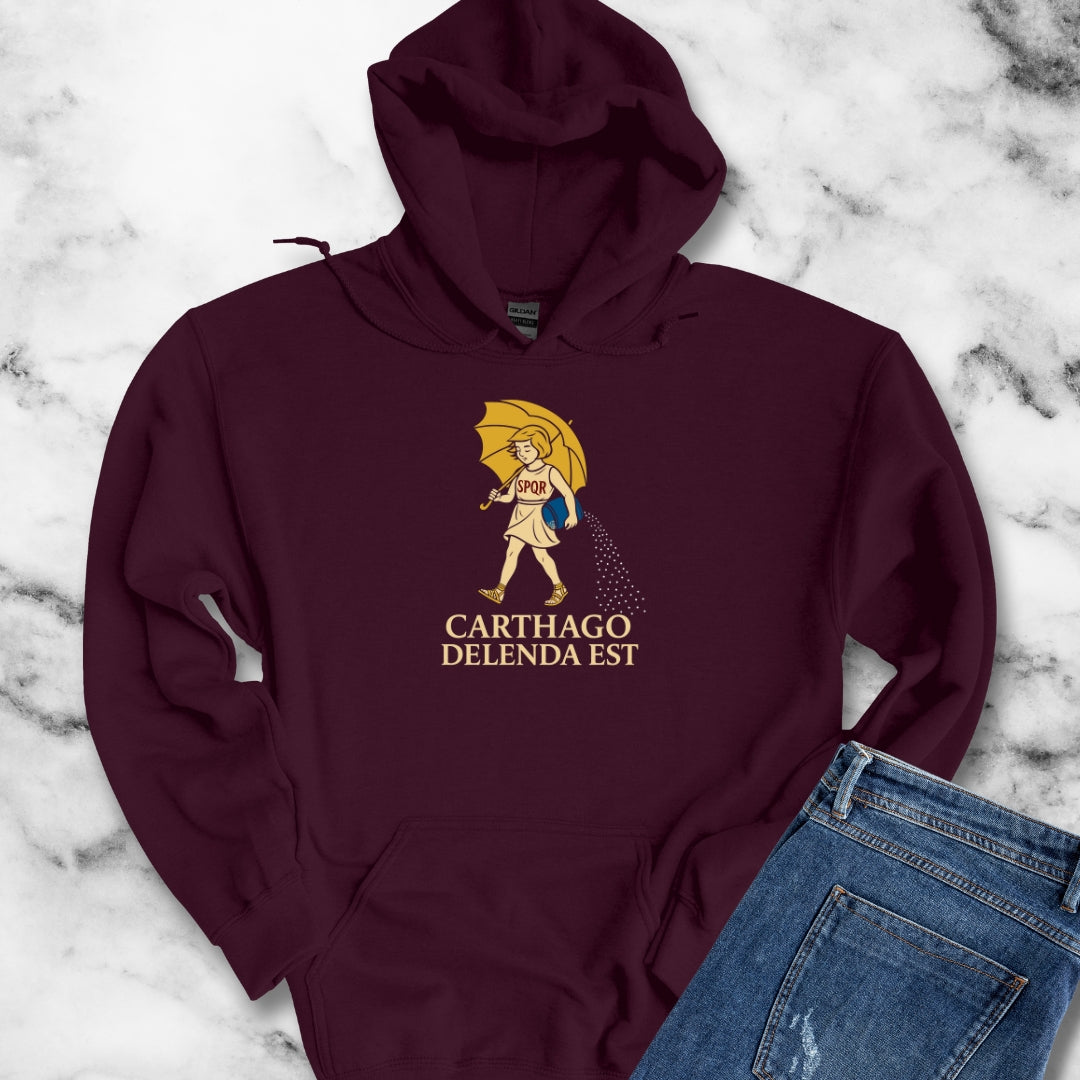 Carthago Delenda Est Morton's Salt Parody Unisex Heavy Blend™ Hooded Sweatshirt